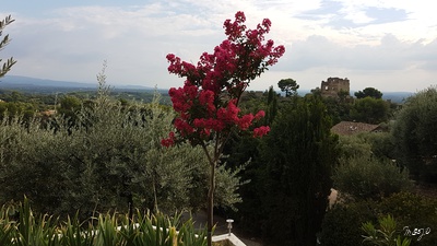 View from the terrace/patio