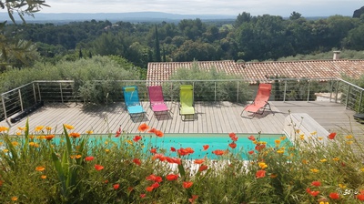 Poppies in Provence